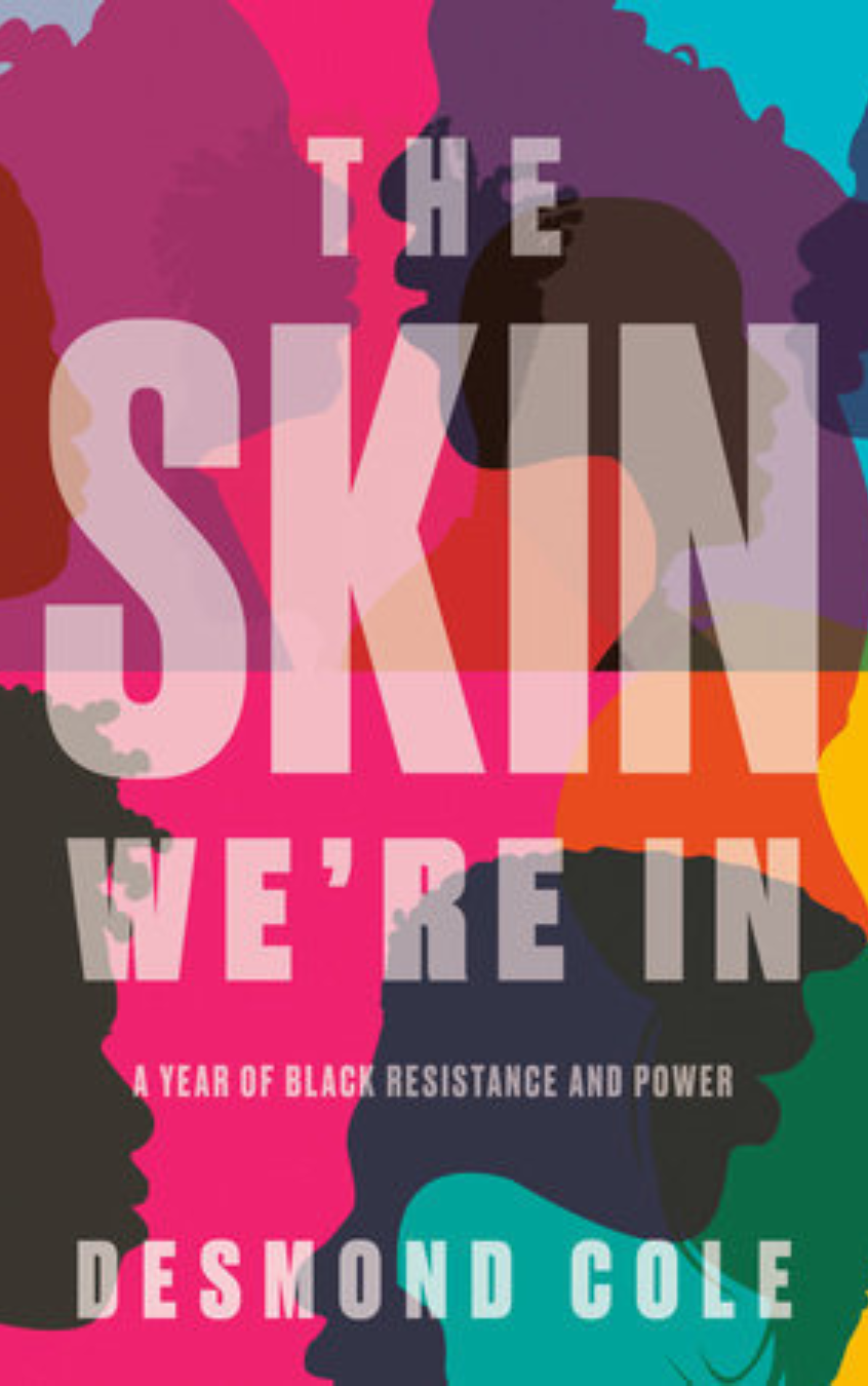 The Skin We're In by Desmond Cole